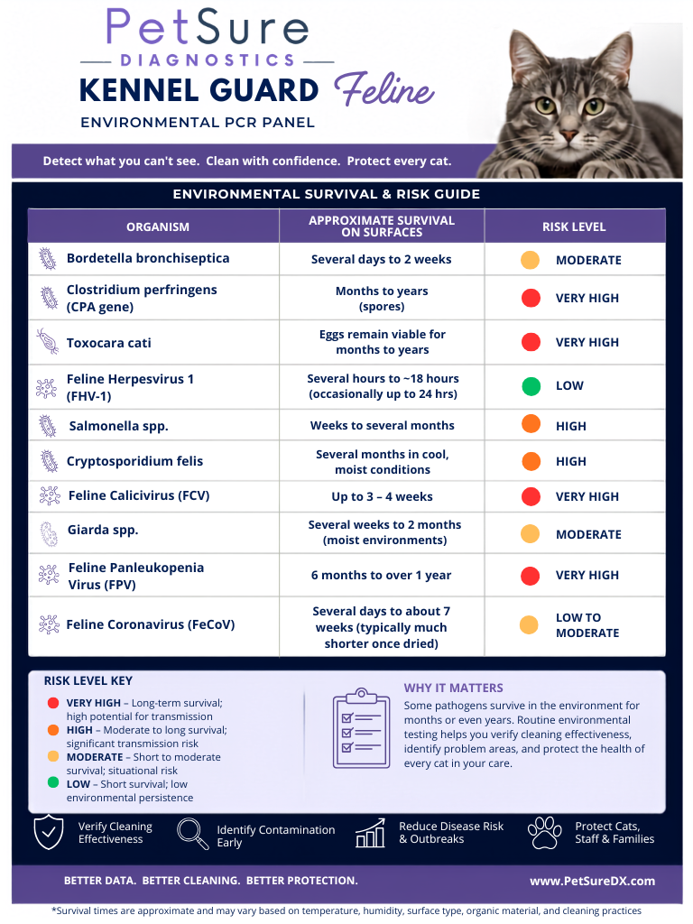 Feline Kennel Guard Outbreak Kit